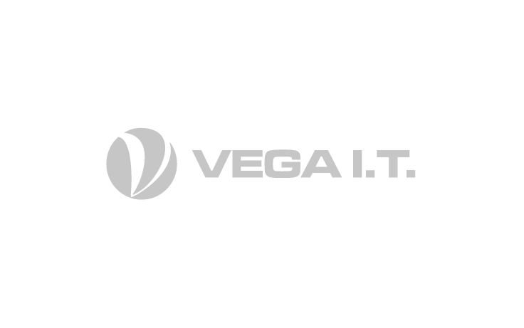 VEGA-1.png